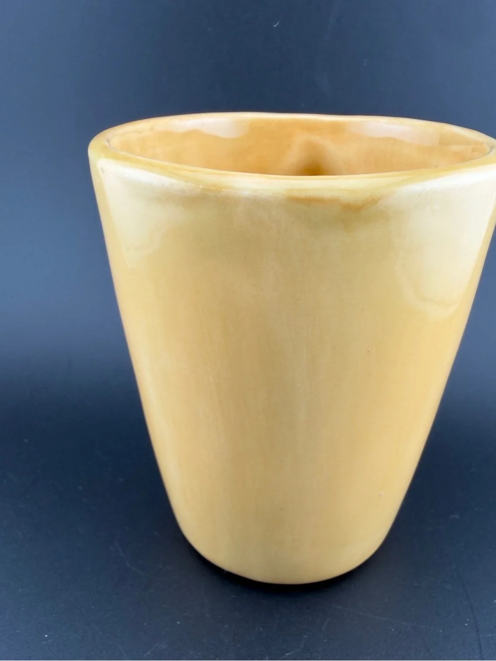 Pottery Barn Yellow/Gold Sausalito Ridge Ceramic Coffee Mug